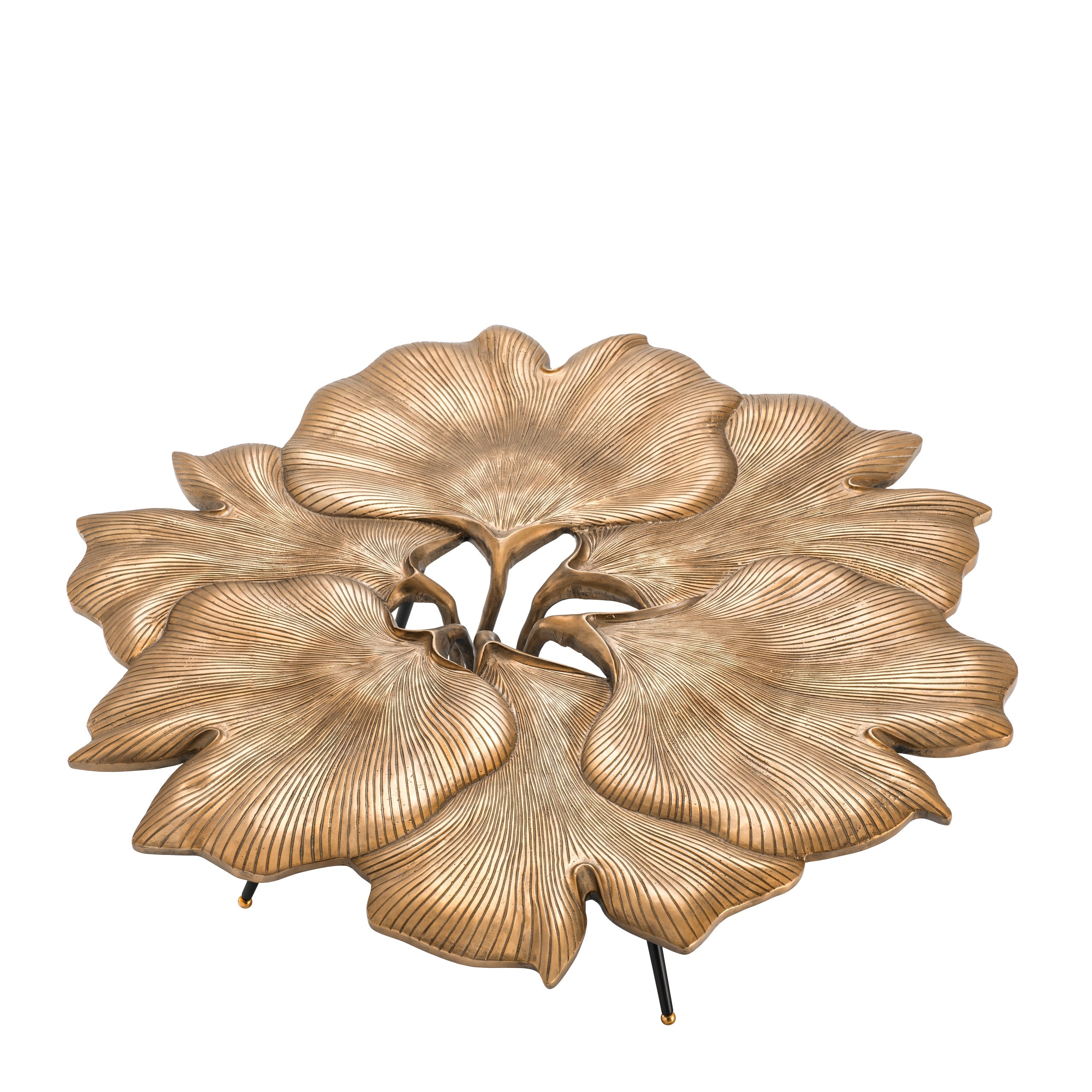 Mesa de café ginkgo