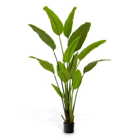 Artificial Plant Strelitzia M green
