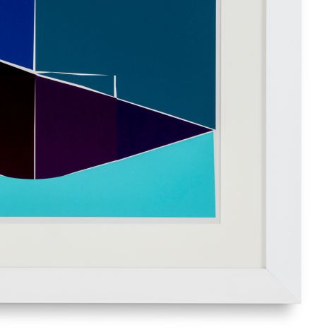 Print Silkscreen from Boissière I by Henri Boissière