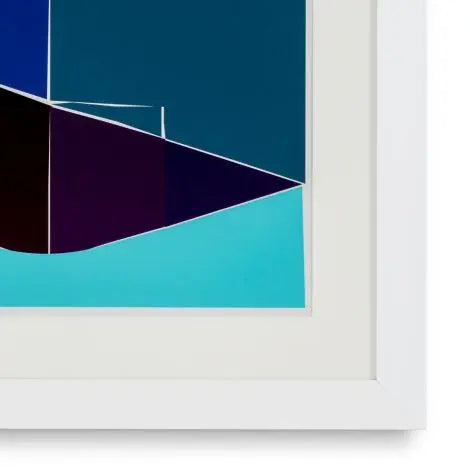 Print Silkscreen from Boissière I by Henri Boissière