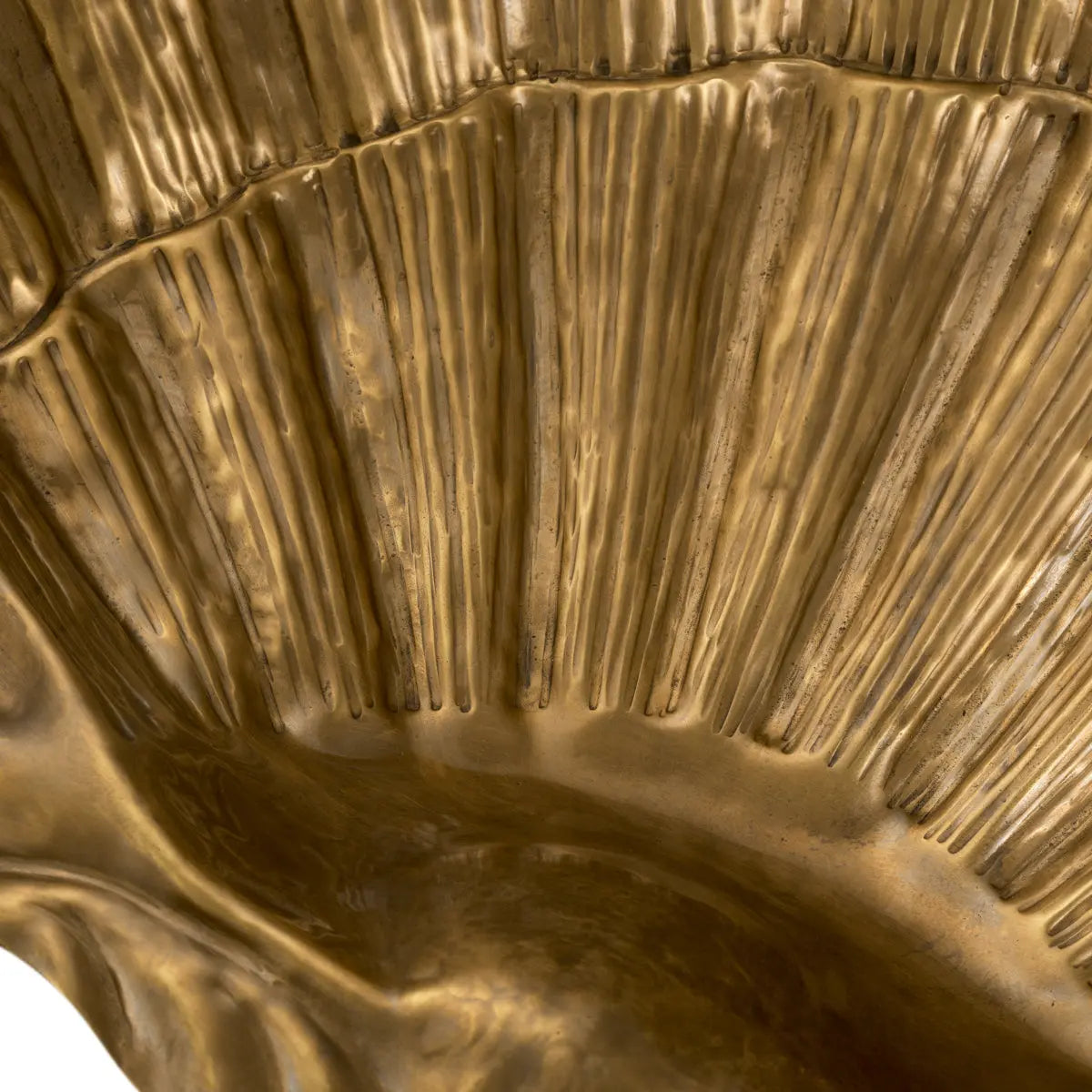 Bowl Seashell Eichholtz