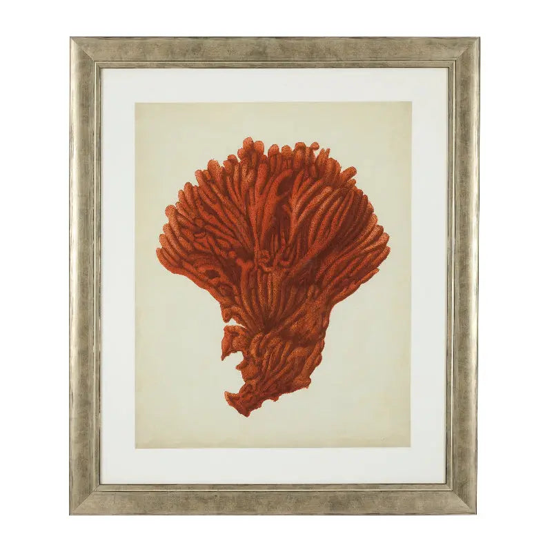 Prints Antique red corals set of 6 Eichholtz