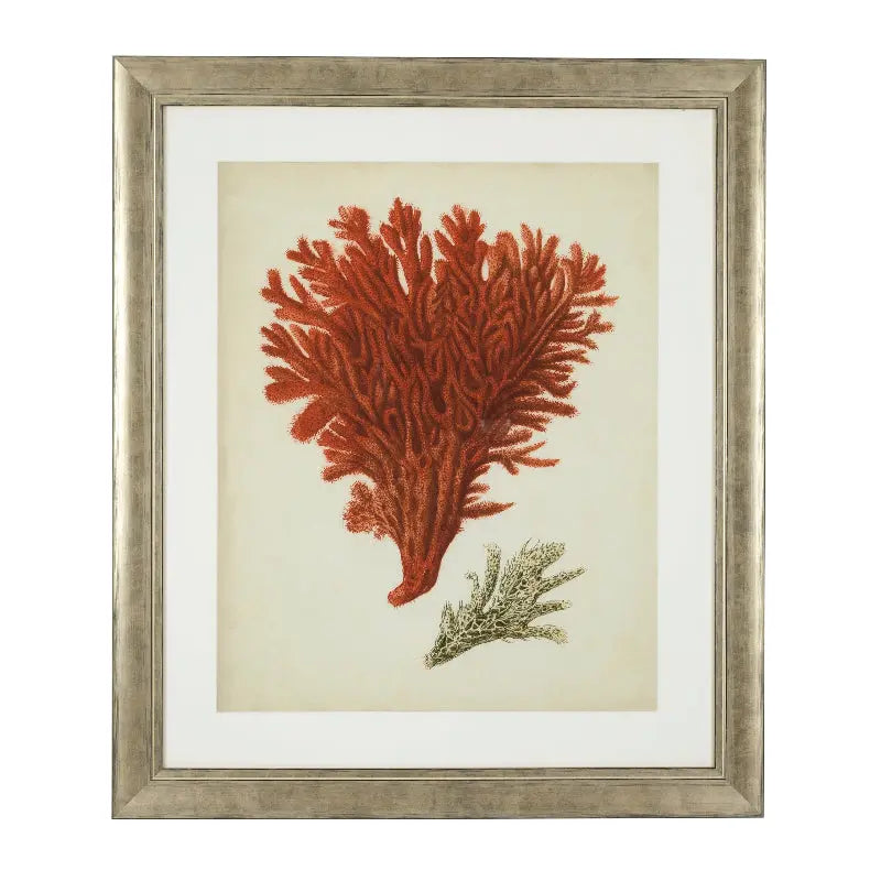 Prints Antique red corals set of 6 Eichholtz
