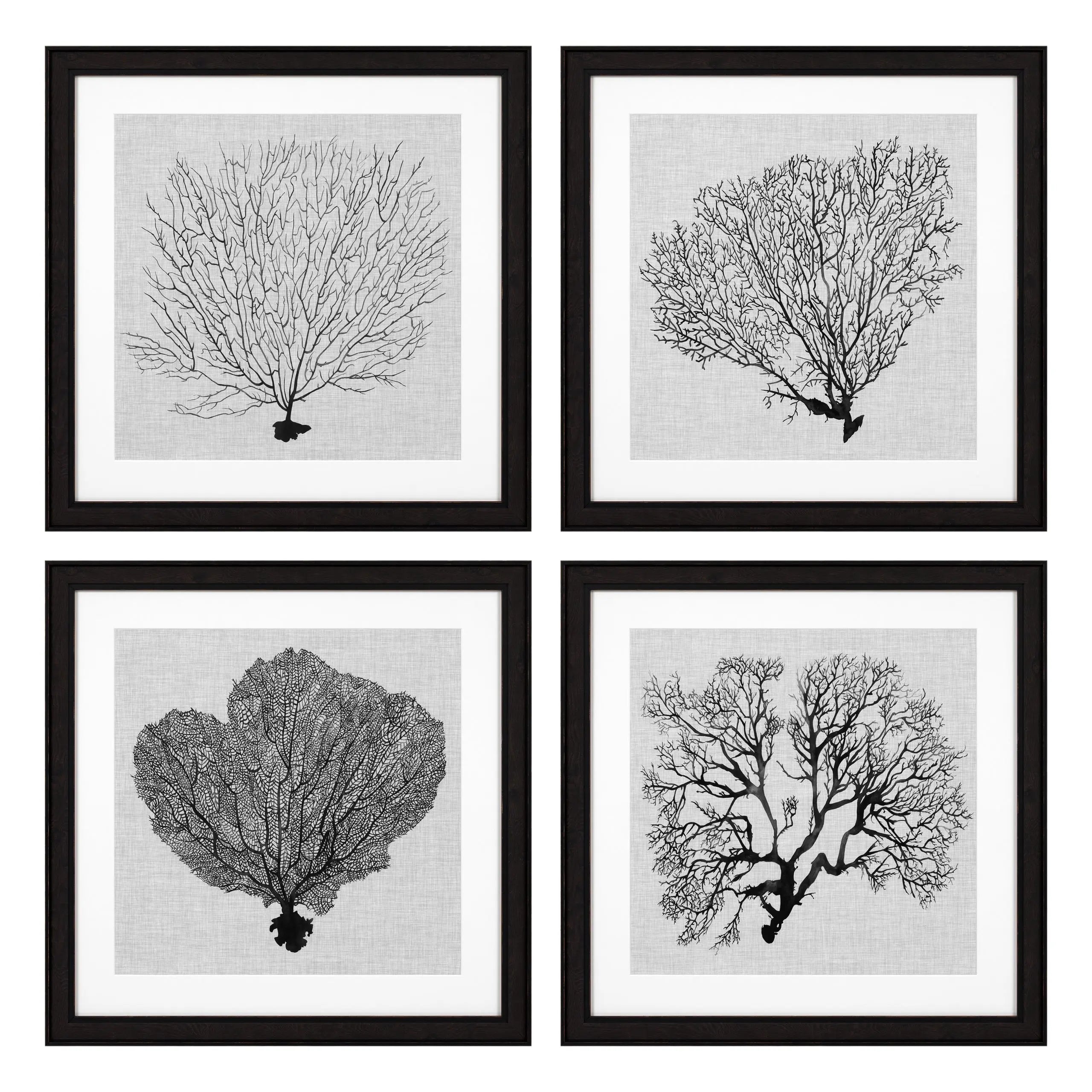 Prints Shadow Sea Fans set of 4 Eichholtz