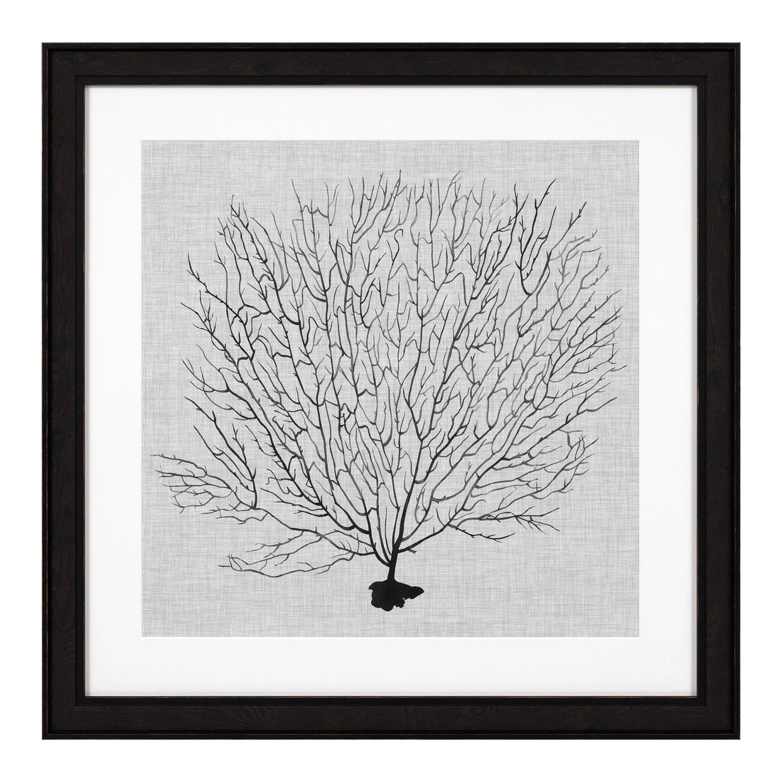 Prints Shadow Sea Fans set of 4 Eichholtz