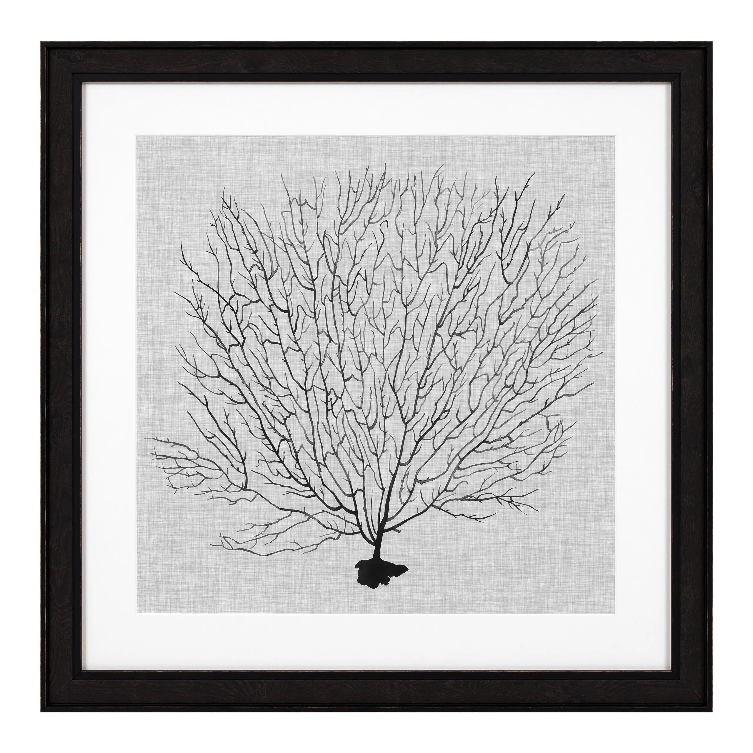 Prints Shadow Sea Fans set of 4 Eichholtz