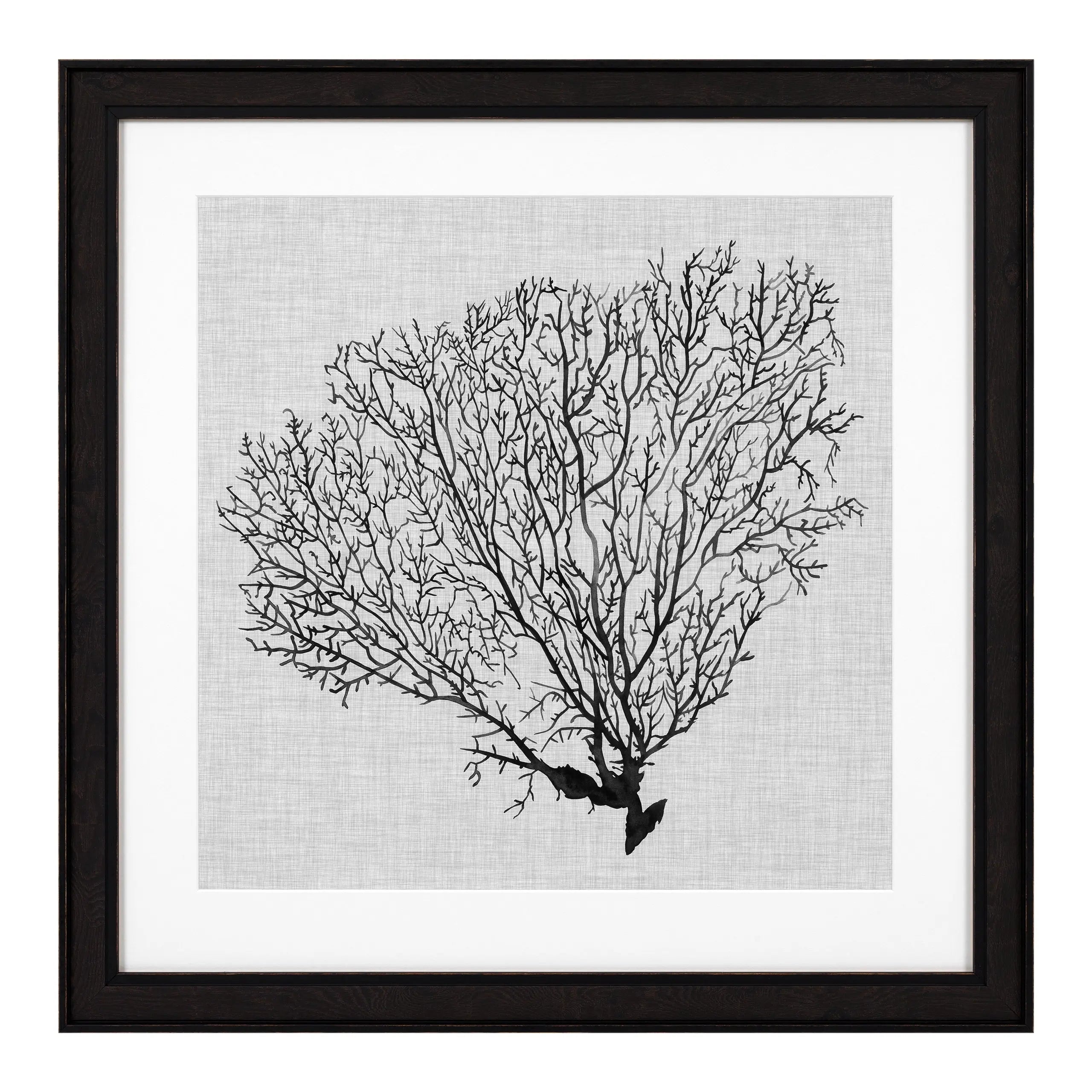 Prints Shadow Sea Fans set of 4 Eichholtz