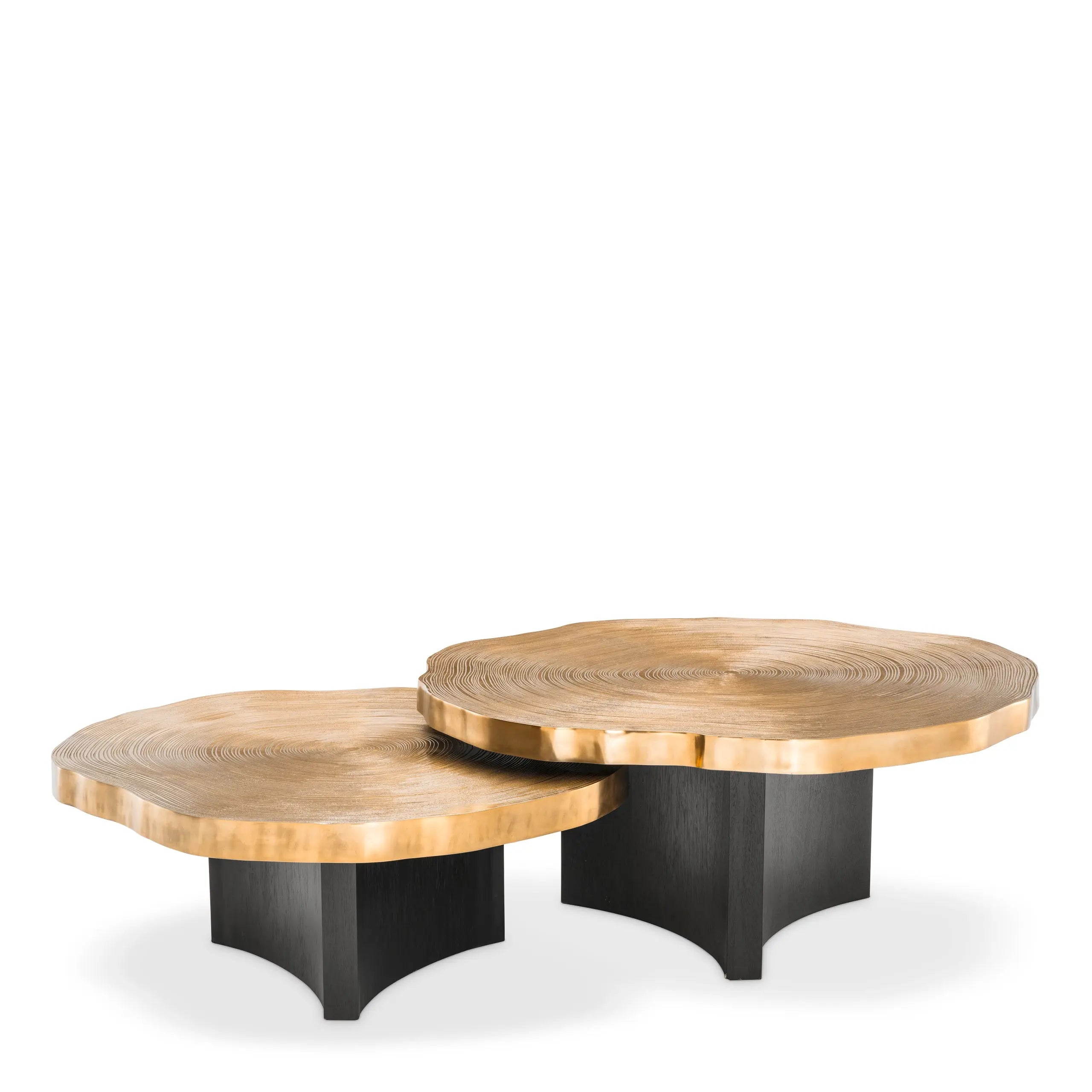 Coffee Table Thousand Oaks Set Of 2 Eichholtz