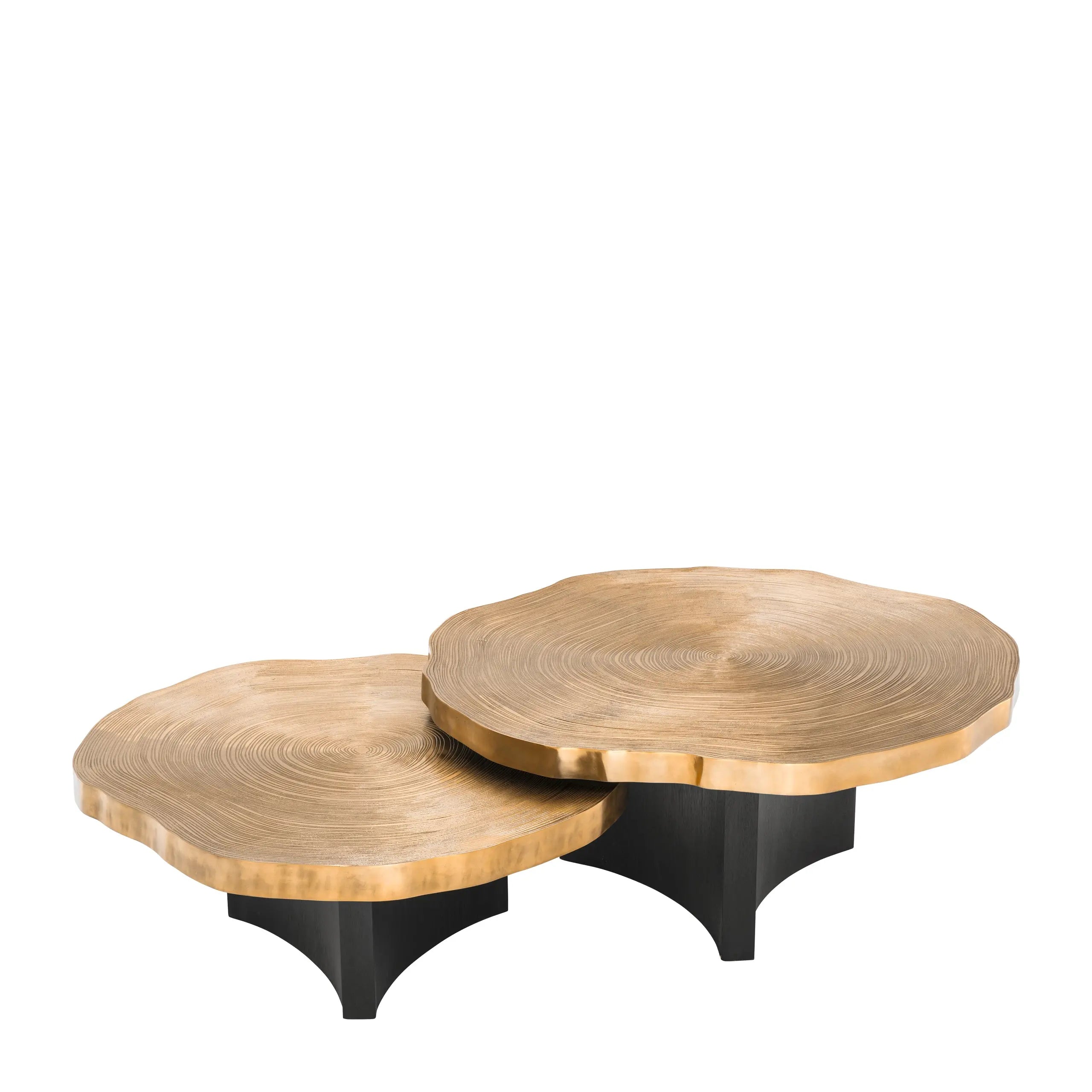 Coffee Table Thousand Oaks Set Of 2 Eichholtz