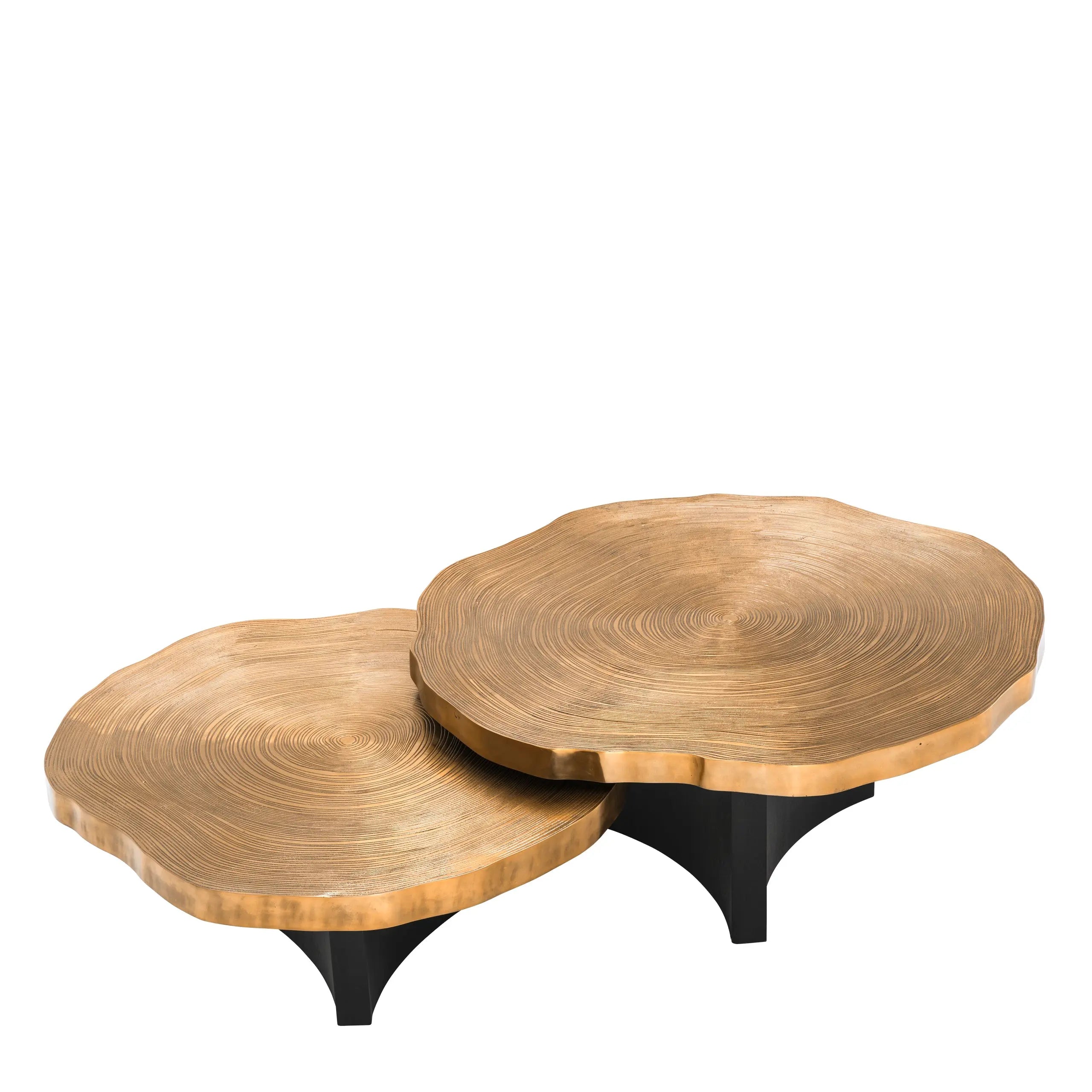 Coffee Table Thousand Oaks Set Of 2 Eichholtz