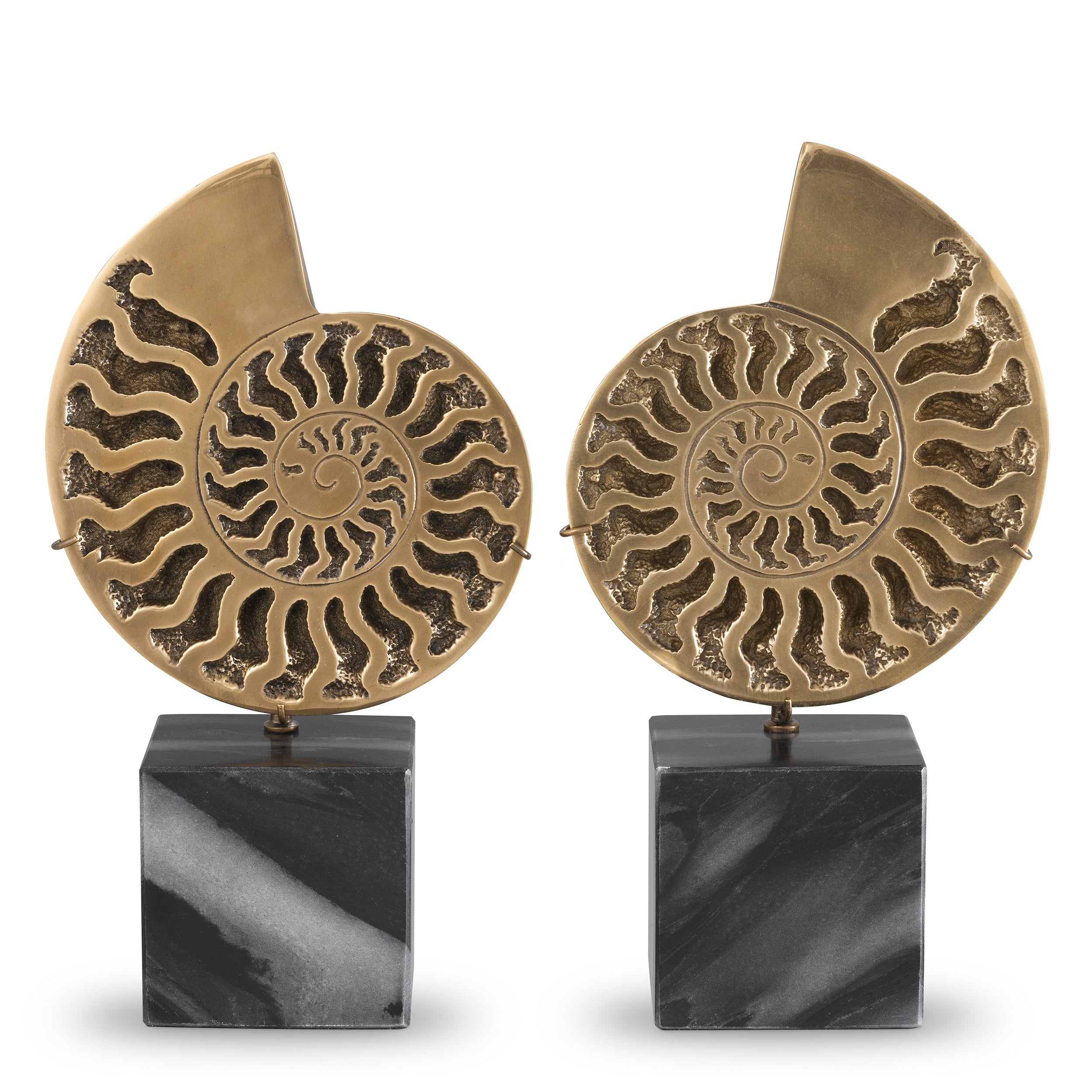 Object Ammonite  Set Of 2