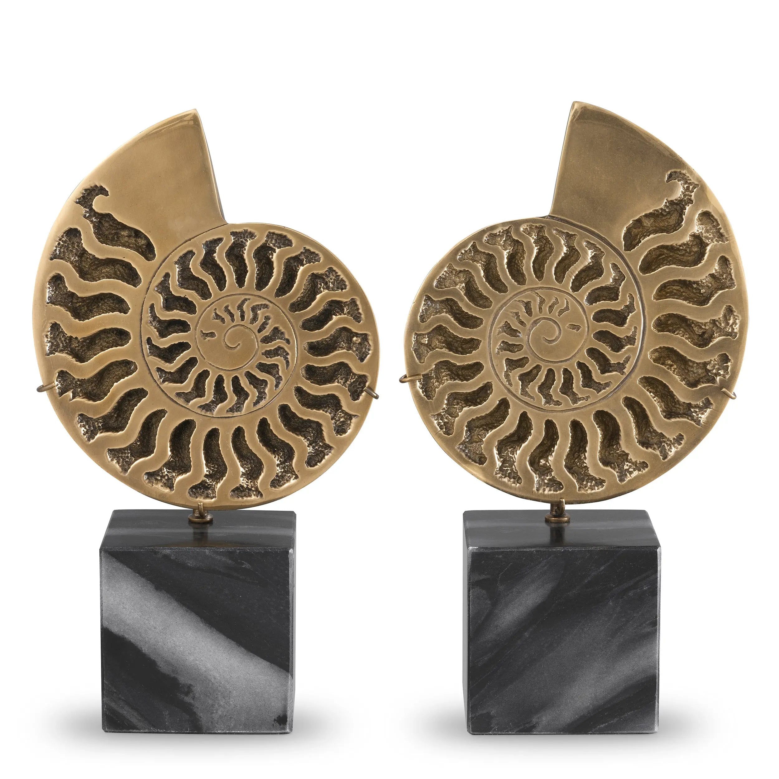 Object Ammonite Set Of 2 Eichholtz