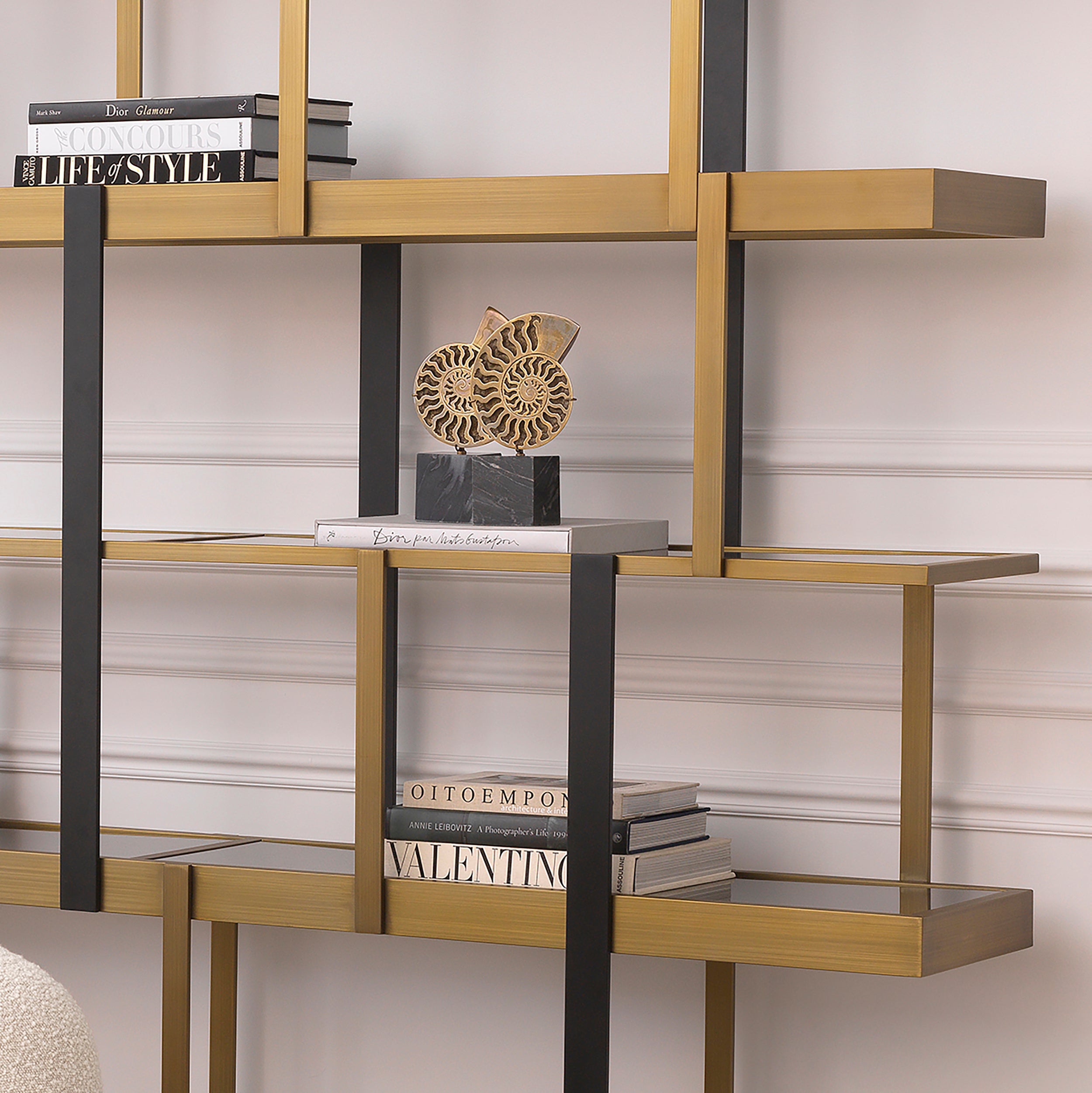 Object Ammonite  Set Of 2