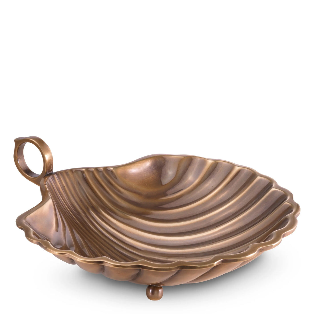 Tray Shell M Eichholtz