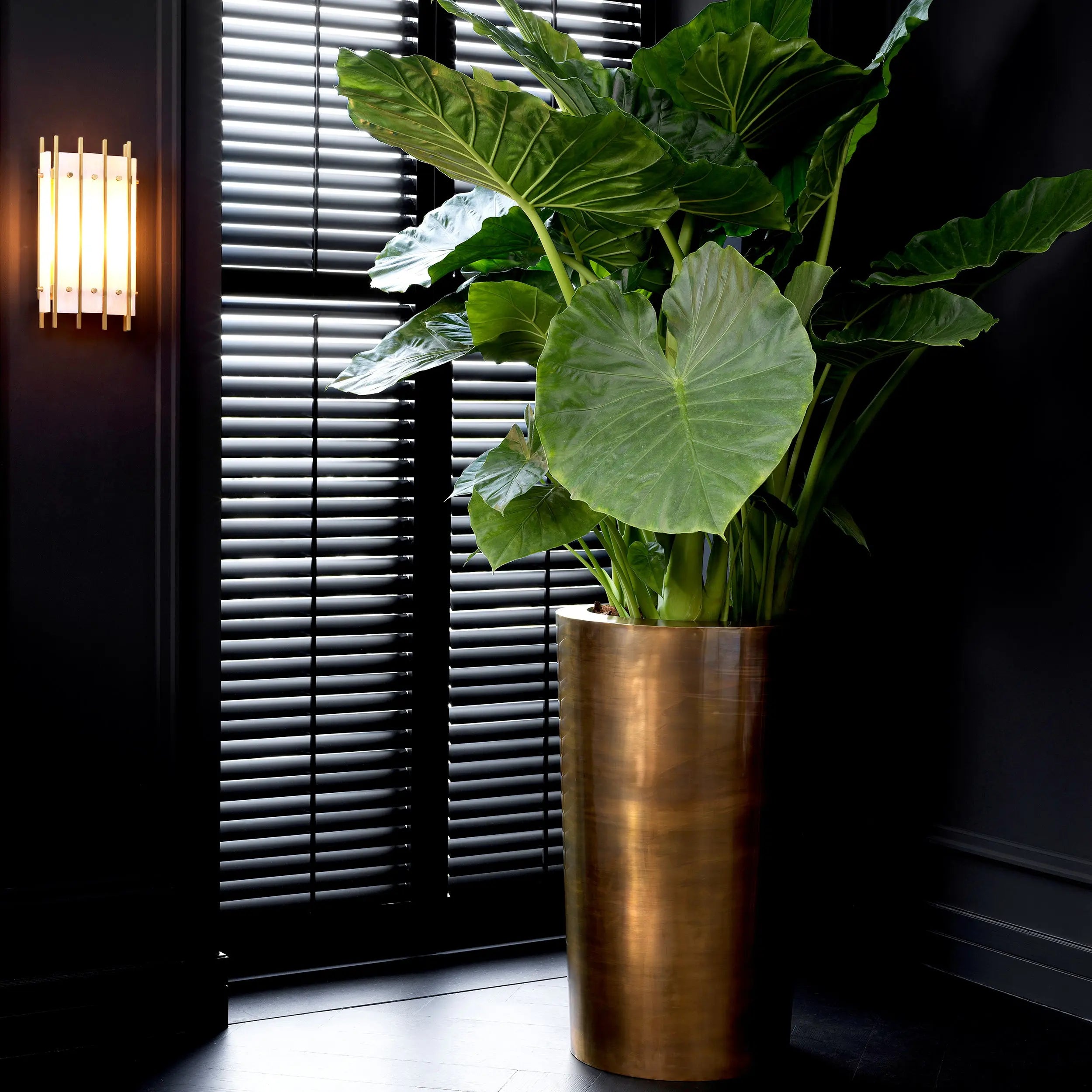 Planter Maddox Eichholtz
