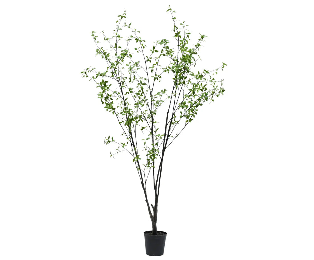 Spray de eucalipto verde 111 cm