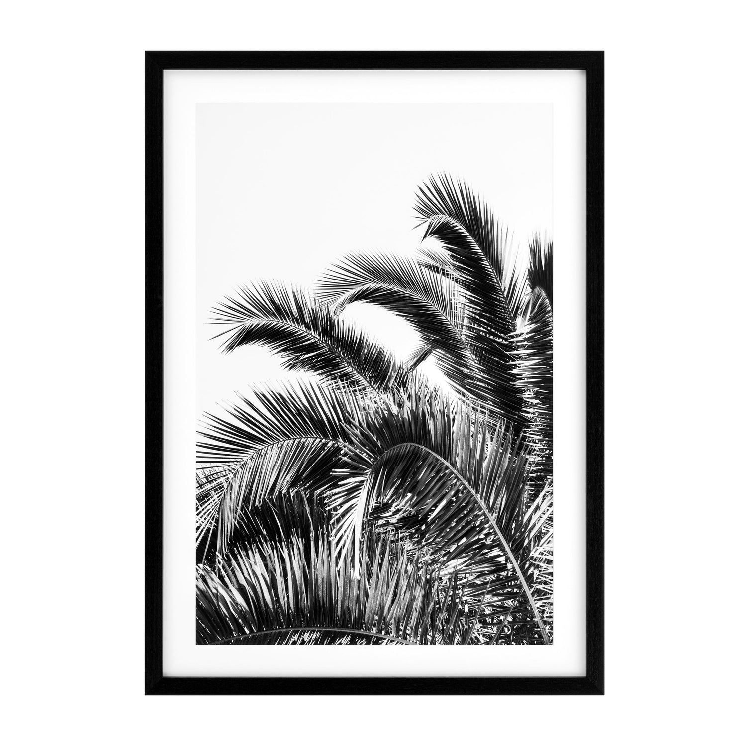 Print EC274 Palm Leaves Set Of 2 *EXPO