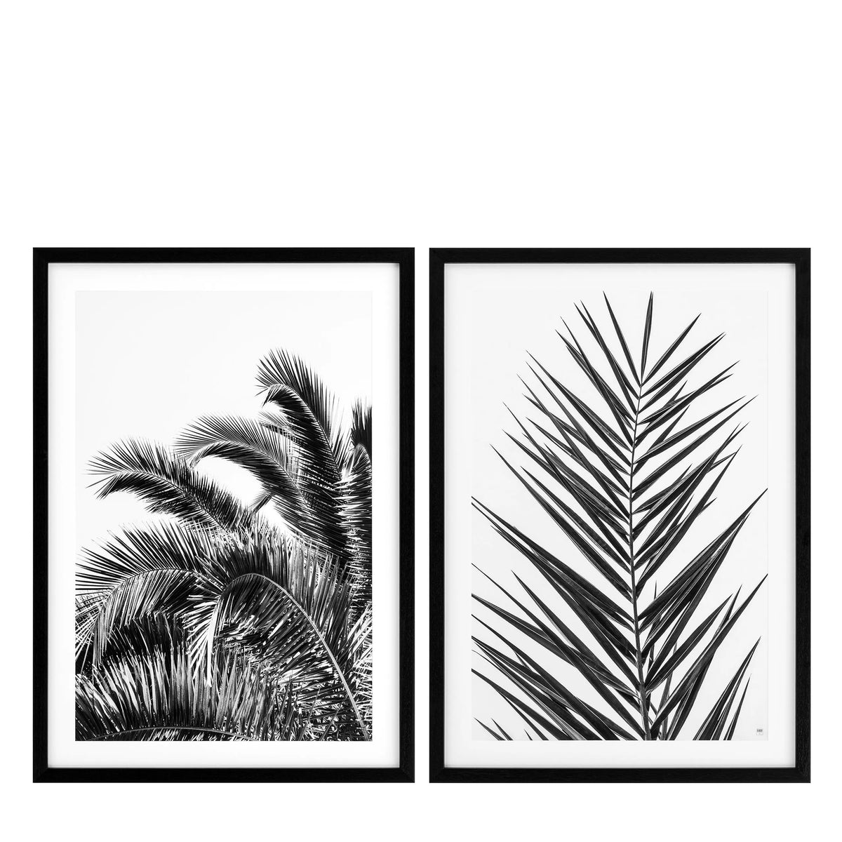 Print EC274 Palm Leaves Set Of 2 *EXPO Eichholtz