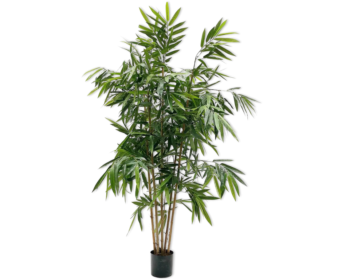 Bamboo Green 183 cm Silk-Ka