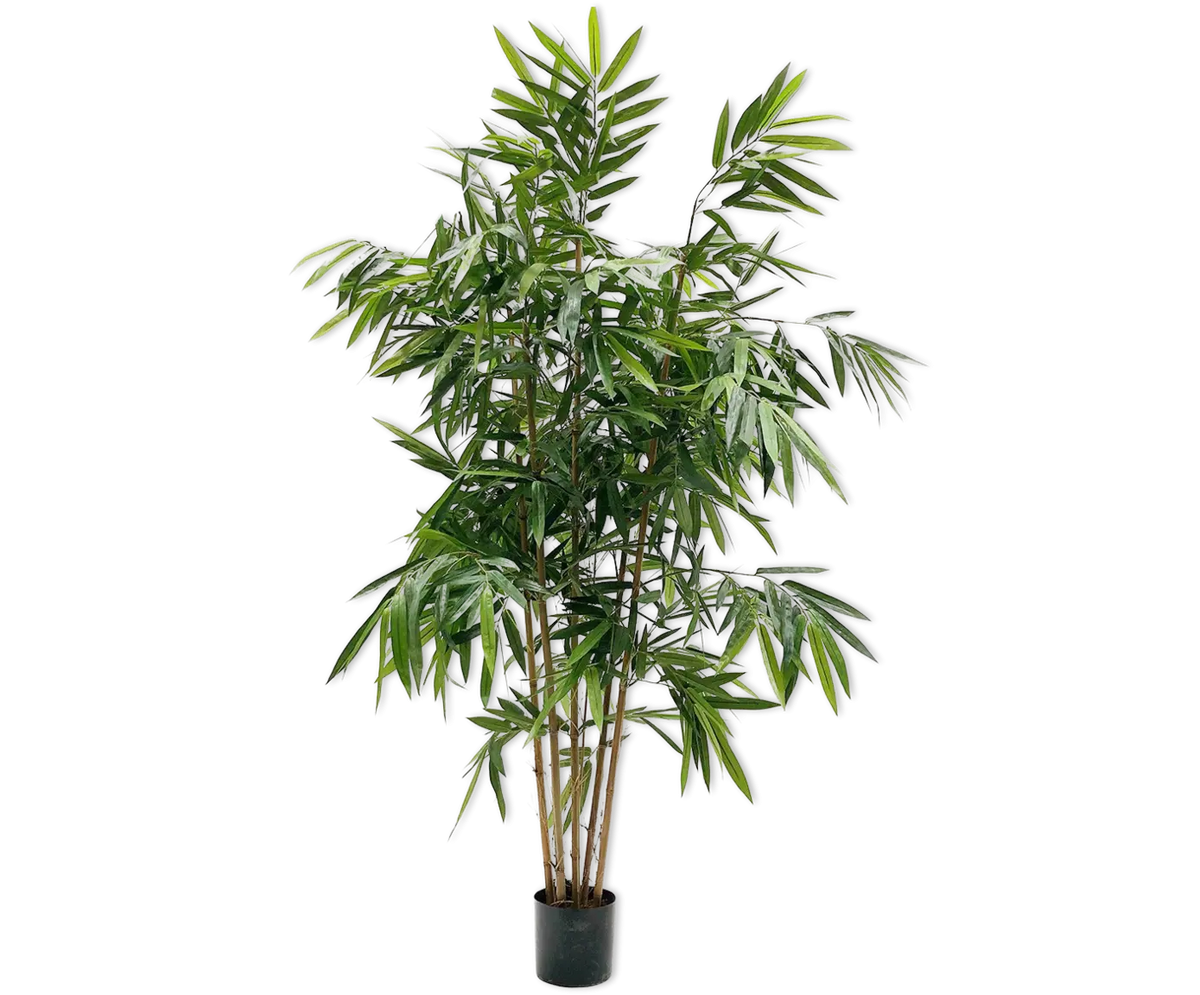 Bamboo Green 183 cm Silk-Ka