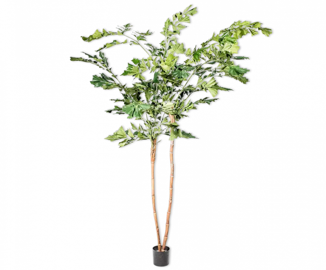 Palm Green Silk-Ka