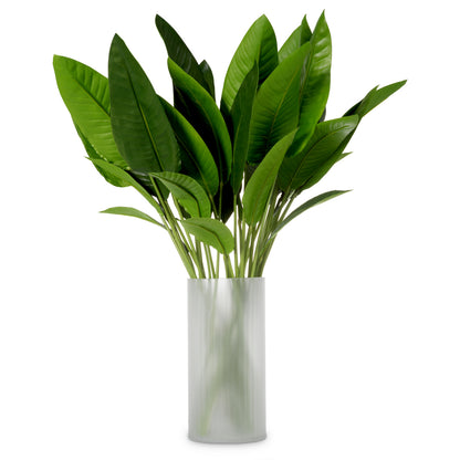 Bundle Of Strelitzia leaves 36 pcs