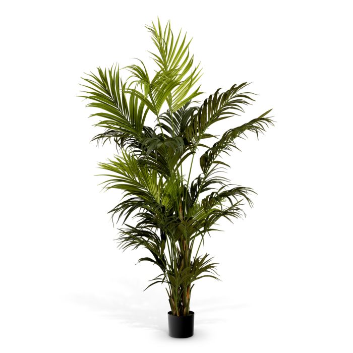 Artificial Plant Kentia Palm Eichholtz