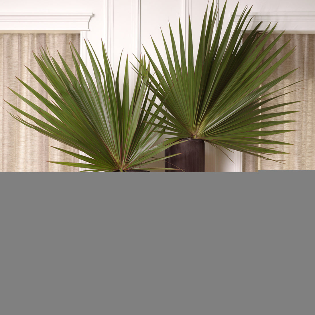 Vase Isandro L