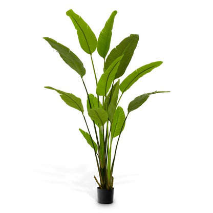Artificial Plant Strelitzia M
