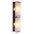 Wall Lamp Ortiz bronze highlight finish