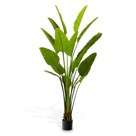 Artificial Plant Strelitzia L green