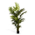 Artificial Plant Kentia Palm Eichholtz