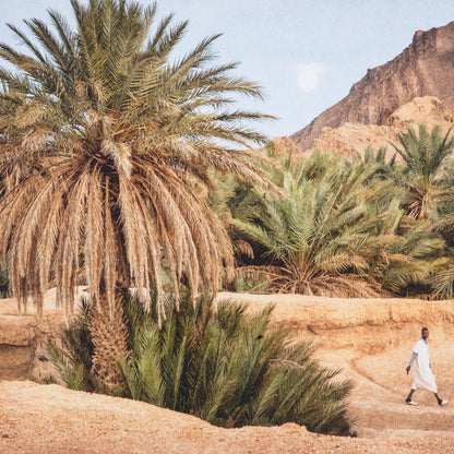 Print Moroccan Oasis *EXPO