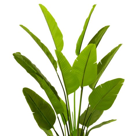 Artificial Plant Strelitzia L green