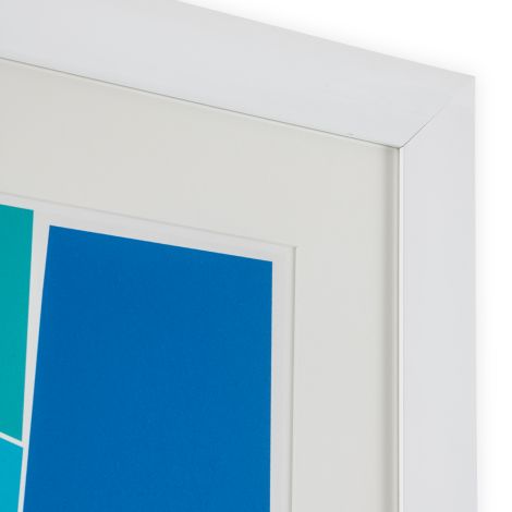 Print Silkscreen from Boissière I by Henri Boissière