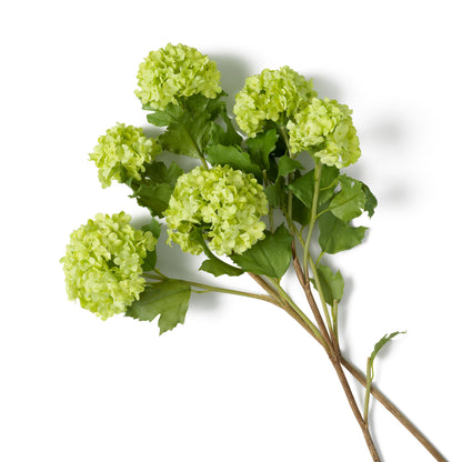 Bouquet Of Hydrangeas snowball green real touch 36 pcs