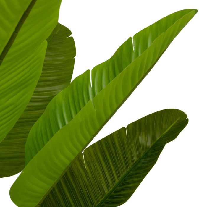 Artificial Plant Strelitzia M