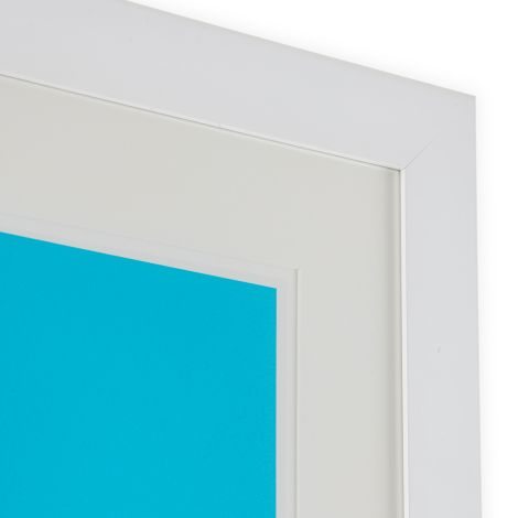 Print Silkscreen from Boissière II by Henri Boissière