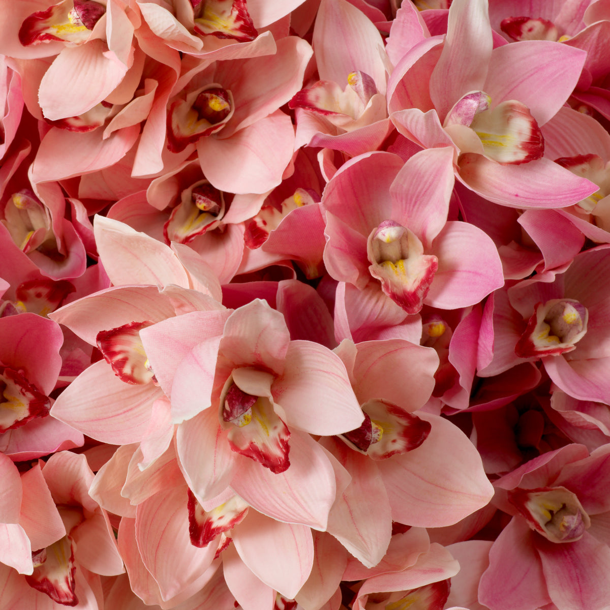 Bouquet Of Cymbidium Orchids pink and peach tones real touch 36 pcs/2varieties