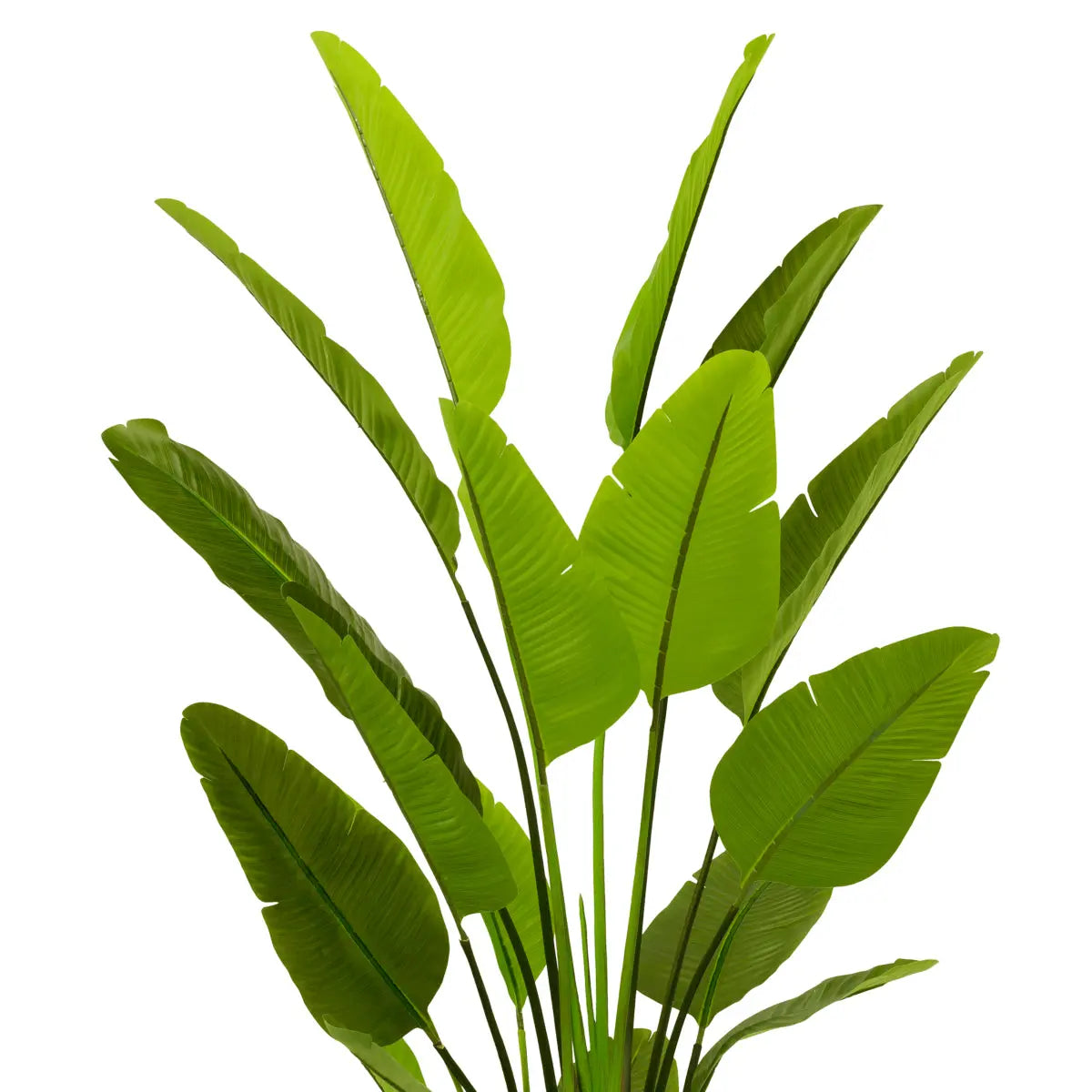 Artificial Plant Strelitzia L Eichholtz