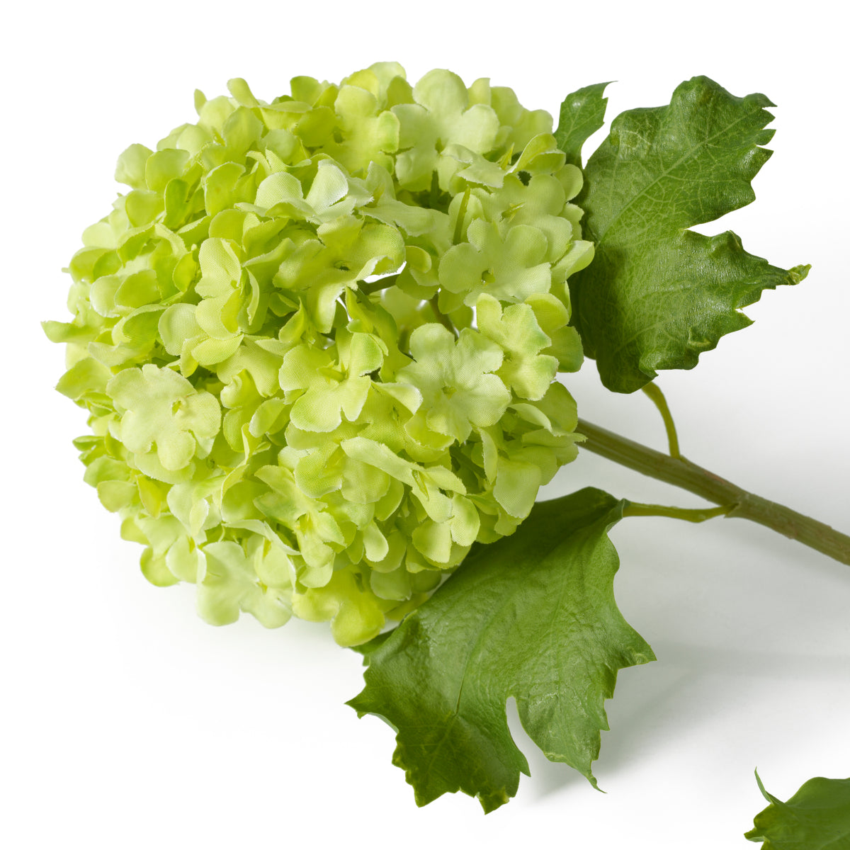 Bouquet Of Hydrangeas snowball green real touch 36 pcs