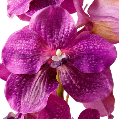 Bouquet Of Vanda Orchids fuchsia real touch 24 pcs