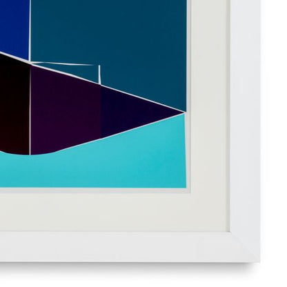 Print Silkscreen from Boissière I by Henri Boissière