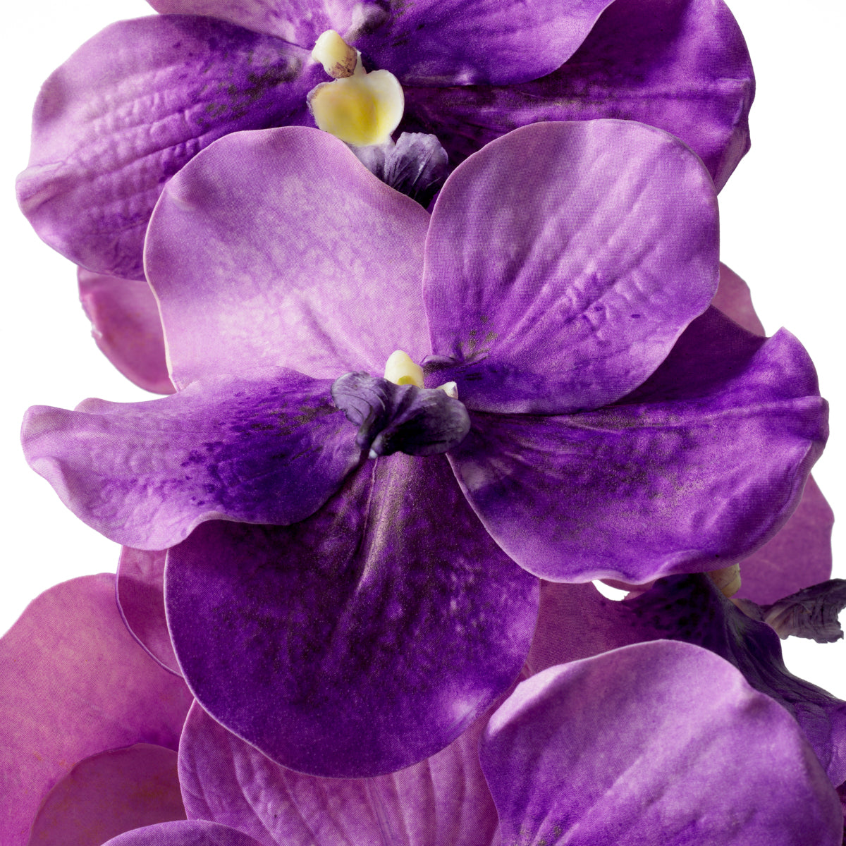 Bouquet Of Vanda Orchids purple real touch 24 pcs