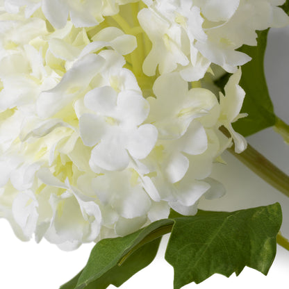 Bouquet Of Hydrangeas snowball white real touch 36 pcs