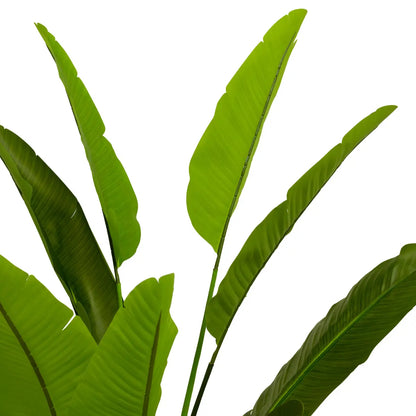 Artificial Plant Strelitzia M Eichholtz