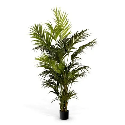 Artificial Plant Kentia Palm Eichholtz