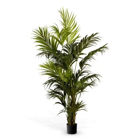 Artificial Plant Kentia Palm Eichholtz