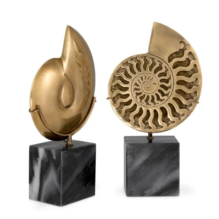 Object Ammonite  Set Of 2 Eichholtz