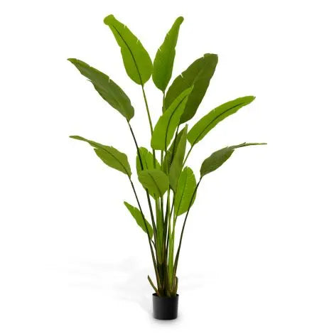 Artificial Plant Strelitzia M Eichholtz